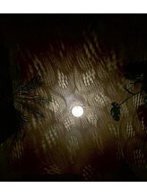 フランボヤン(flamboyant)/ベッドからの眺め