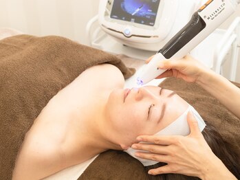 ドルフィン(DOLPHIN)/インジェクター