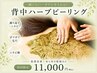 【背中のザラザラ特化】背中ハーブピーリング（上部or下部）¥11,000