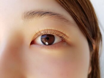 マイラン(MYLAN.)/パリジェンヌラッシュリフト