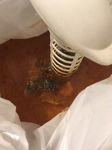 キートス(Kiitos)/むくみスッキリゴッドクリーナー