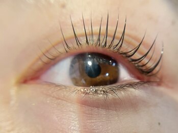 アイラッシュサロンラコタ 池袋東口店(RACOTA)/ラッシュリフト