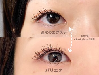 リベラ(Rivera)/パリエク/LED対応/上下可能