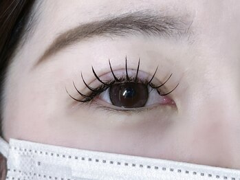 ミイプ(MEPP)/たにわき担当・フラットラッシュ