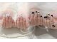 ソワ(SOiE)の写真