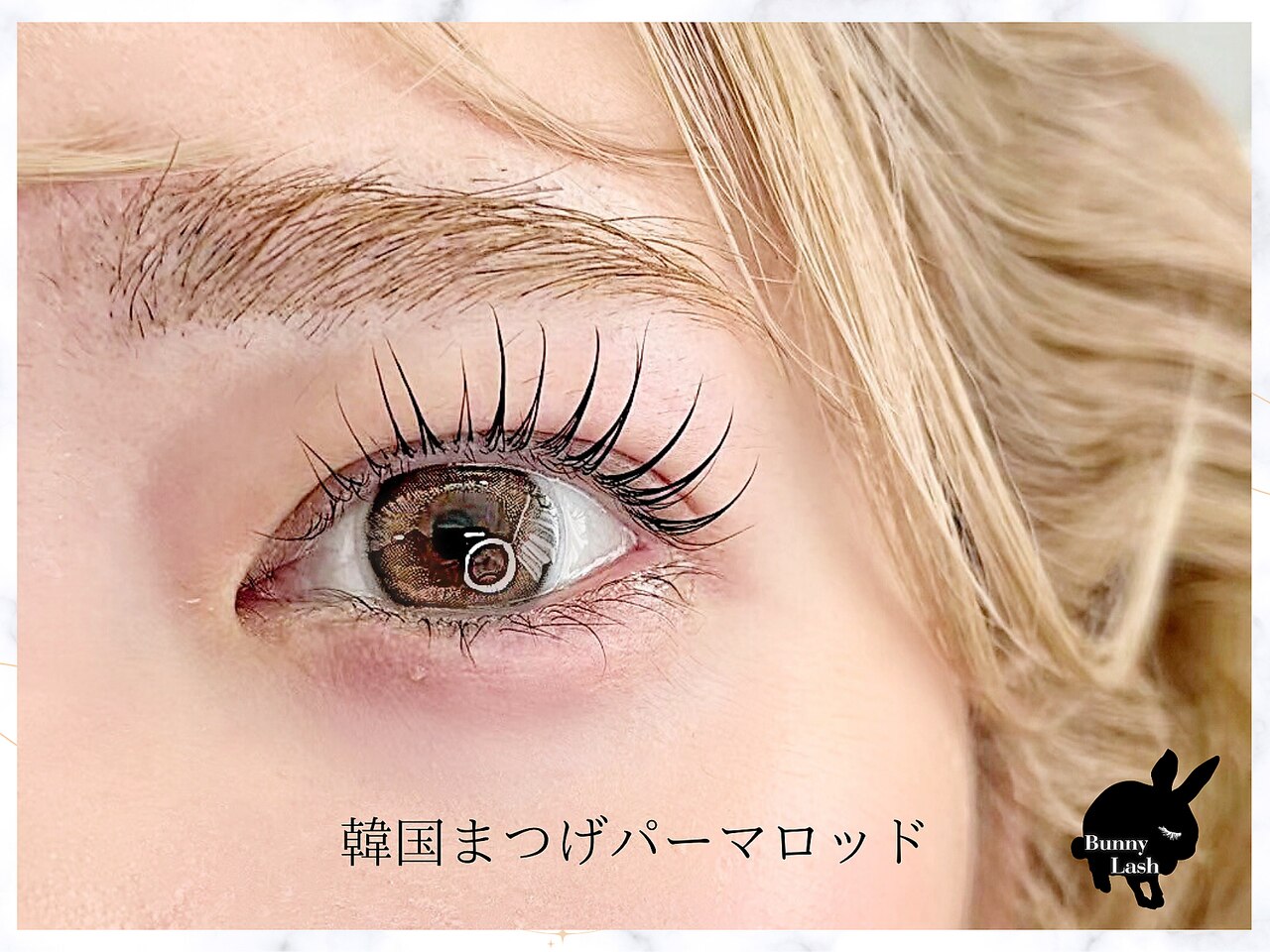 デバイスワークス HARE BRIDGE まつさま専用 デバイスワークス HARE BRIDGE まつさま専用