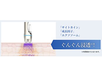 ブーチ 本八幡( BUHTI)/デュアルボールヒト幹導入