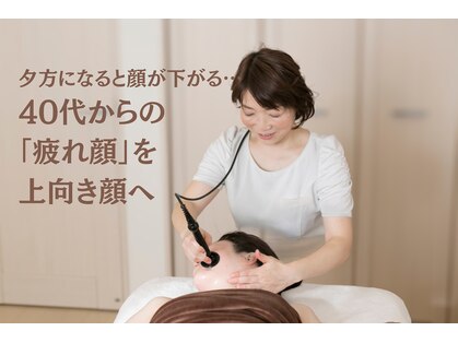 ゆずり葉の写真