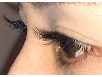 クインビー(Queen Bee)/【フェザーセーブル・ブラウン】