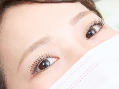 リリーファースト(Lily First)の写真