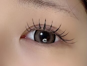 ラナン(Lanan)/フラットラッシュ