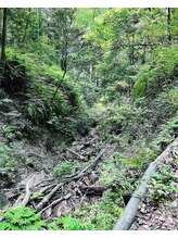 サンティ 心斎橋店 HIrakoba