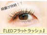 【6月限定】『LEDフラットラッシュ100本』(美容液コーティング付)¥5000