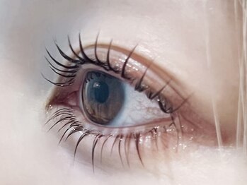 シュクレ 高畑店(shucre)の写真/【束感◎韓国風まつげパーマ】コーティング仕上げ☆すっぴんでも思わずドキっとするような印象的な目元に♪