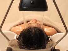 ヒペリカムプラス(ヒペリカムplus.)