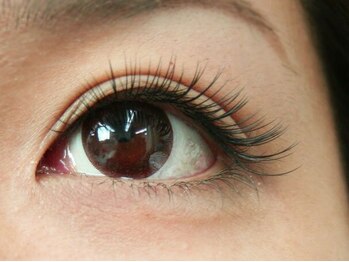 アイラッシュリゾートカハラ 四ツ谷三丁目店(Kahala)の写真/持続を最大限に生かすデザイン提案がカハラにあります!持続が期待できるエクステ/カールメニューが大人気◎