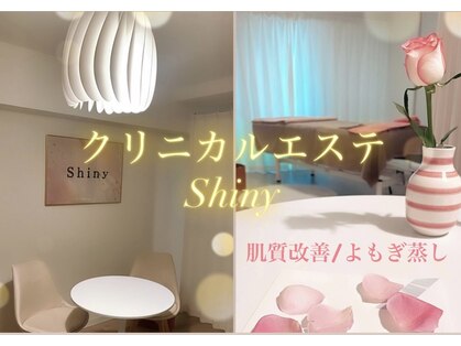 シャイニー(Shiny)の写真