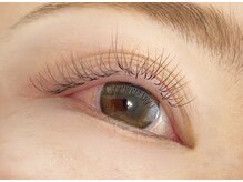 シマー(shimmer)/バインドロック60束