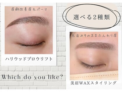 メリア(melia)の写真