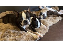 バウネイル(Bow nail)の雰囲気（お待ちしております♪）