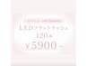 平日12～16時限定☆ オフ込み LEDフラット120本まで￥5900 【6月30迄】