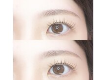 レディフル(Ladyful)/人気のセットmenu