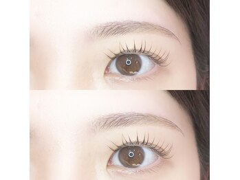 レディフル(Ladyful)/人気のセットmenu