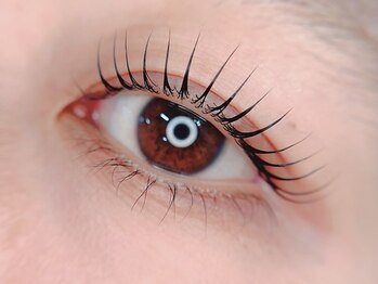 ナチュレ 荒井店(NATURE)の写真/【新規限定★パリジェンヌラッシュリフト¥4900】自まつ毛を活かしたい方やまつエクをお休みしたい方に◎