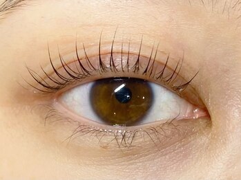 レーヴ アイラッシュ(Reve eyelash)/パリジェンヌラッシュリフト♪