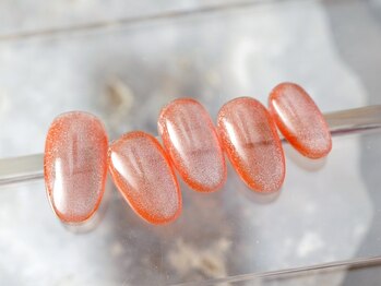 モン センター南(Mon)/マグネットワンカラー