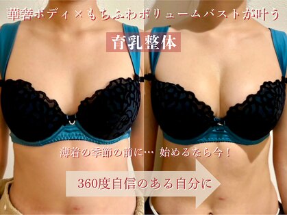 メデル(MEDEL)の写真