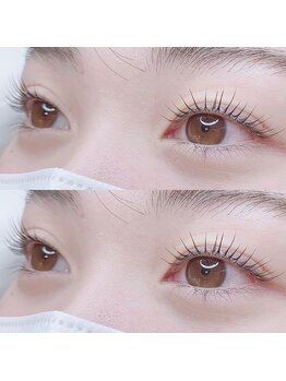 ルーナ ラッシュ(Luna lash)/まつ毛パーマ
