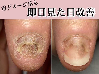 トレフル(Trefle)の写真