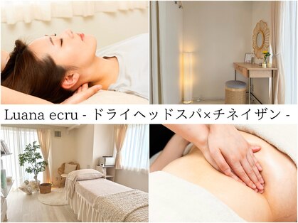 ルアーナエクリュ(Luana ecru)の写真