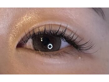 カリスティ(KALLISTI)/フラットラッシュマツエク/LED