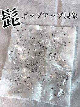 ルシャトン(Le Chaton)/髭ポップアップ