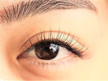 ジョリレーヌ(Jolie Reine)/シングル120本