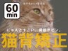 ■パーソナル整体・猫背矯正＋ボディマッサージ＋立体動態波◎