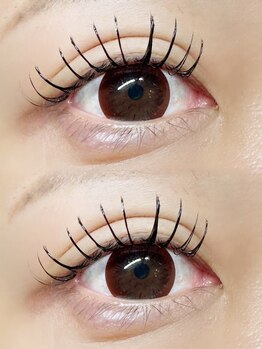 フルール(FLEUR)/フラットラッシュ160本