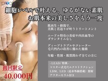 リードスラッシュ(LEAD/)の雰囲気(プロセル公式掲載サロン|九州初導入)