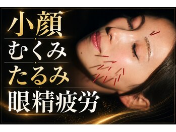ヴィーライン 恵比寿本院(VeLine)の写真/芸能人御用達サロン★圧倒的施術実績と結果重視で小顔/むくみ/たるみ改善!《形状記憶美容鍼×頭の鍼￥9900》