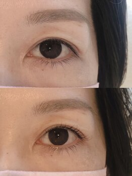 バードアイ(bird eye)/まつげパーマ(ラッシュリフト)
