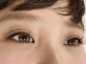 バタフライ 茅ヶ崎店(Butterfly)/ロイッシュブラウン100束