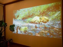 サロン ド マハロ(Salon de MAHALO)/よもぎ蒸しは大画面でリラックス