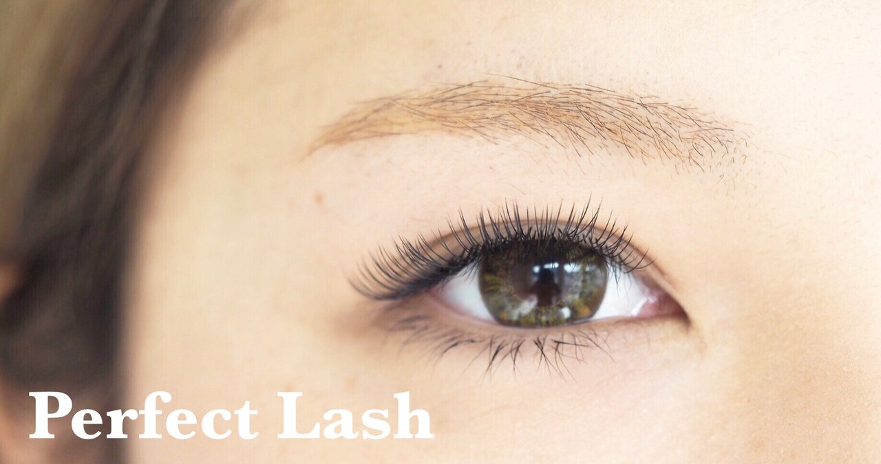 つけたし【Perfect　Lash】長持ちマツエク★60束