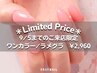 ★ 9/5まで ★ ワンカラー/ラメグラデーション [他店オフ無料/ジェル]