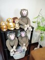 アッド整体院 ぬいぐるみコレクションです!