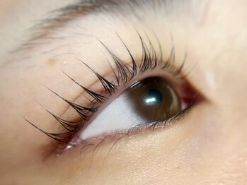 エスーガ(ESUGA)/