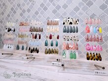 ルピネス(Lupines)/11～12月定額designコース☆