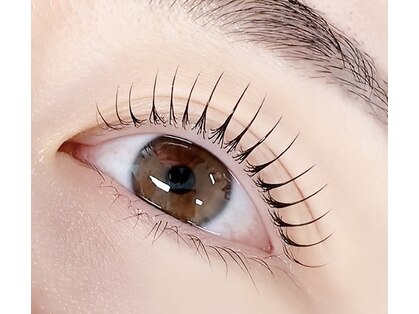 エグスタム(EGUSTAM)の写真